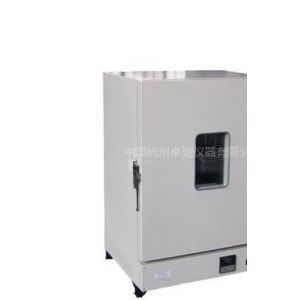 【功率自然對流烘箱】功率自然對流烘箱價(jià)格_功率自然對流烘箱報(bào)價(jià) - 中國供應(yīng)商